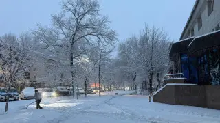 Алматы завалило снегом