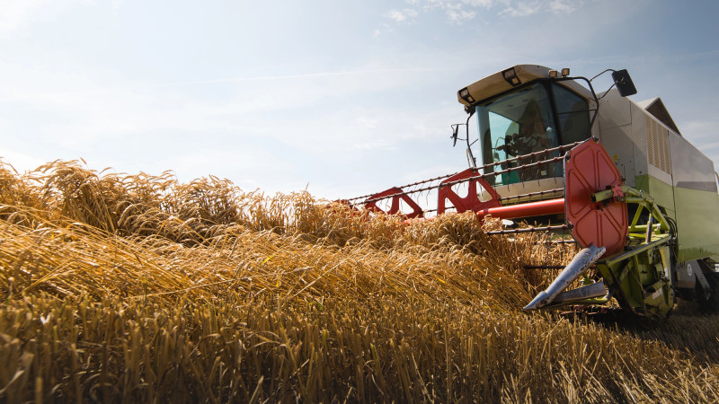 Фото: depositphotos.com