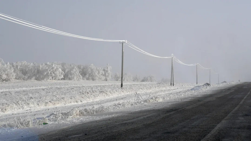 Фото ©️ Tengrinews.kz / Турар Казангапов