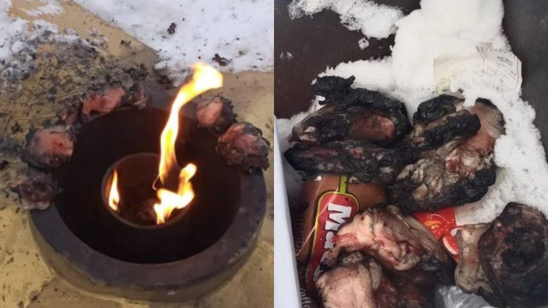 Фото из Instagram @mg_ridder