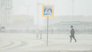 Метель, гололед, туман: почти по всей стране объявлено штормовое предупреждение