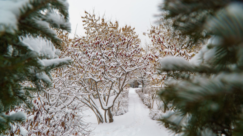 Фото: Tengrinews.kz / Болат Айтмолда