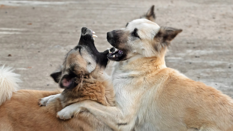 Фото:depositphotos.com