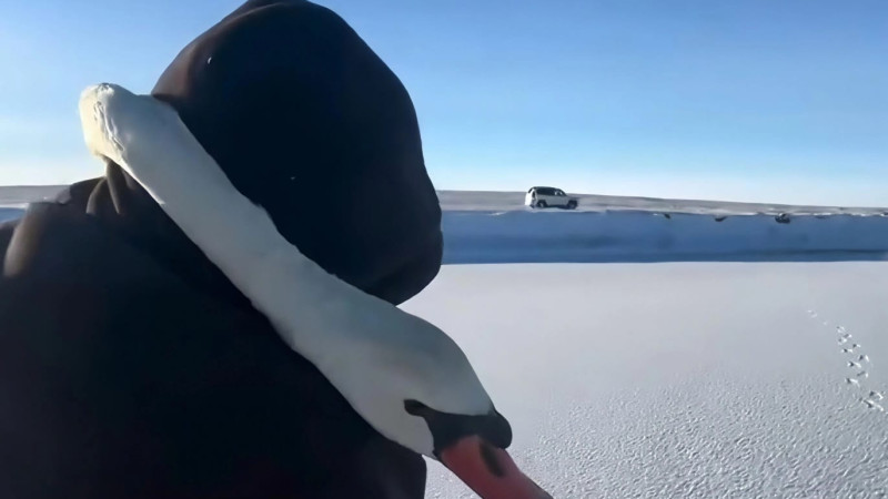 Кадр из видео