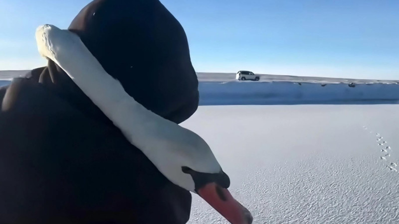 Кадр из видео