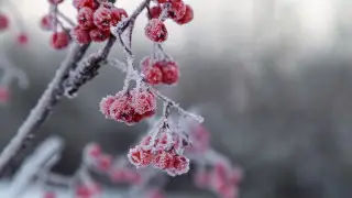 Местами морозы до −15 и снег. Прогноз погоды в Казахстане на четверг