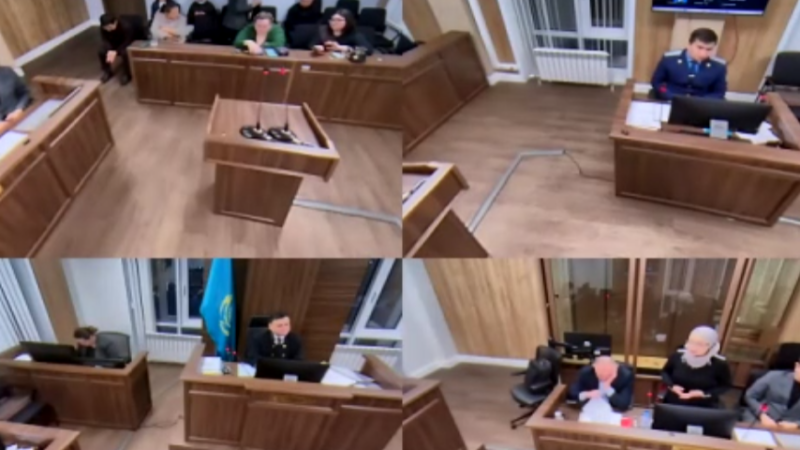 Скриншот видео онлайн-заседания суда в Zoom