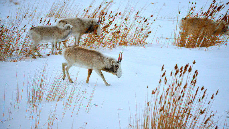 Фото:depositphotos.com