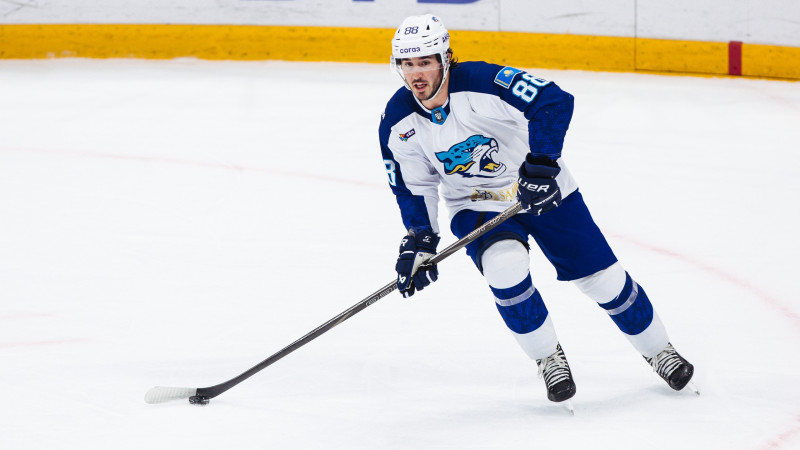 Фото: пресс-служба ХК "Барыс"