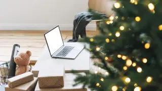 Новогодние ёлки с подвохом: полиция предупредила казахстанцев