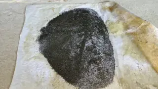 Две тонны насвая в сарае: подпольный цех нашли в Туркестанской области