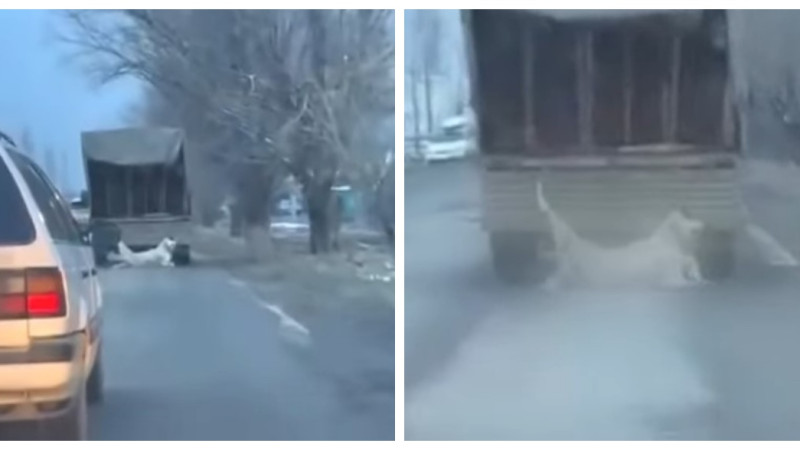 Кадры видео из соцсетей