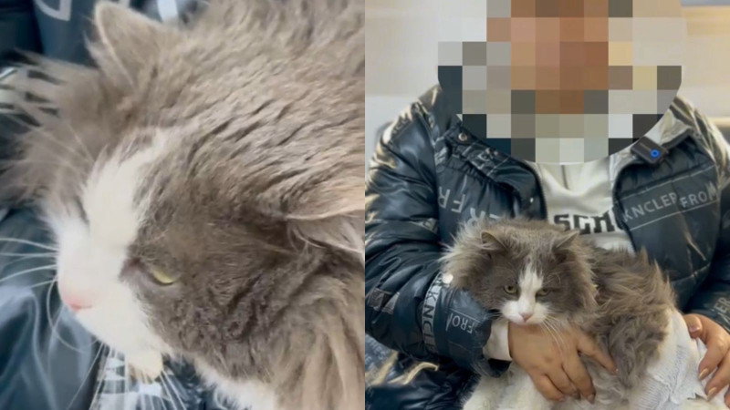 Кадры из видео