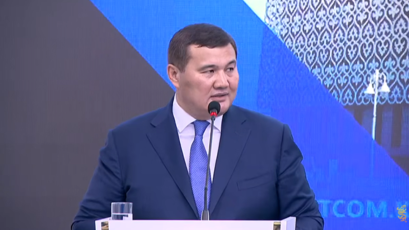 Нурлыбек Налибаев / Скриншот с брифинга YouTube