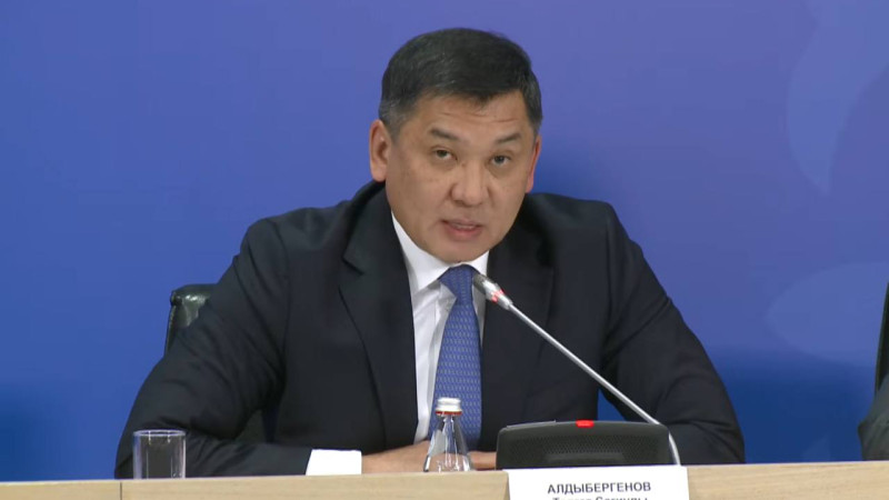 Талгат Алдыбергенов / Скриншот трансляции брифинга на YouTube-канале правительства