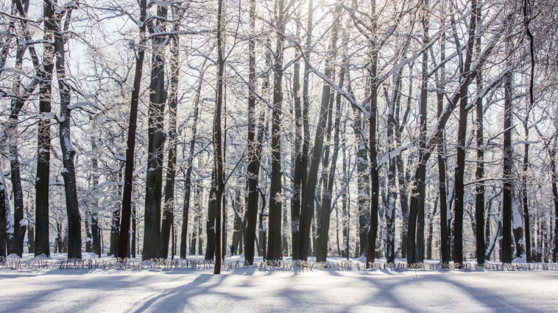 Фото:depositphotos.com