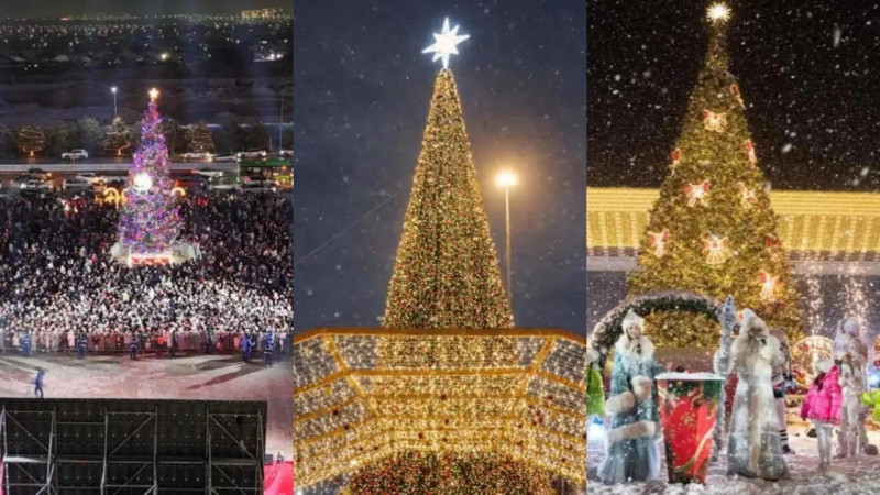 Фото: УВП города Шымкента,  пресс-служба акимата Алматы, Надежда Лыкова