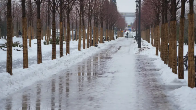 Фото © Tengrinews.kz / Маржан Куандыкова
