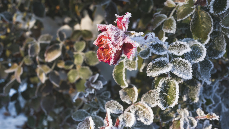 Фото:depositphotos.com