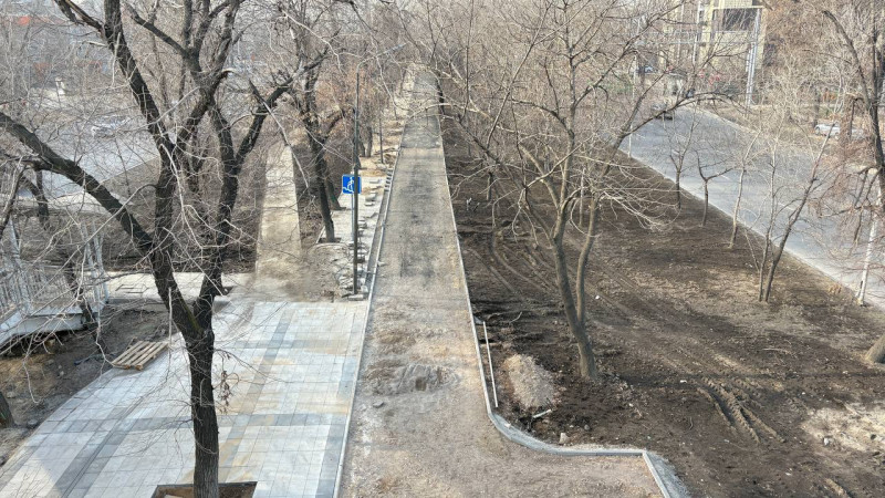 Будущая велопешеходная аллея BRT на Райымбека / Январь 2026 года / Фото: Tengrinews.kz / Ақбота Сіләм