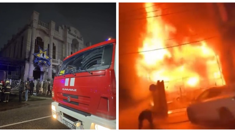 instagram/taraz_life