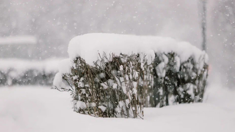 Фото © Tengrinews.kz