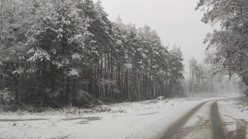 Фото:depositphotos.com