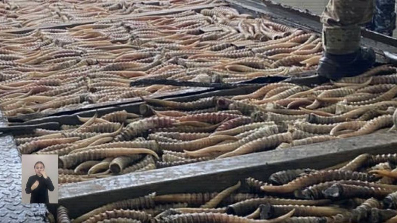 Кадры из видео