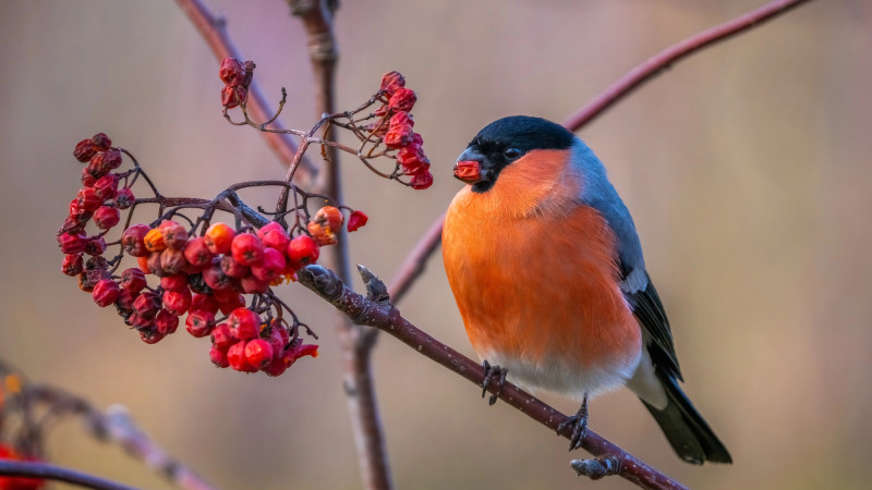 Фото:depositphotos.com