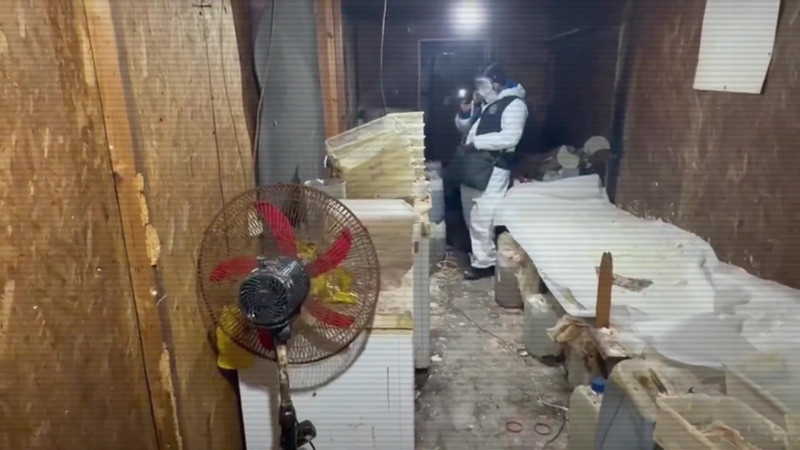 Кадр из видео