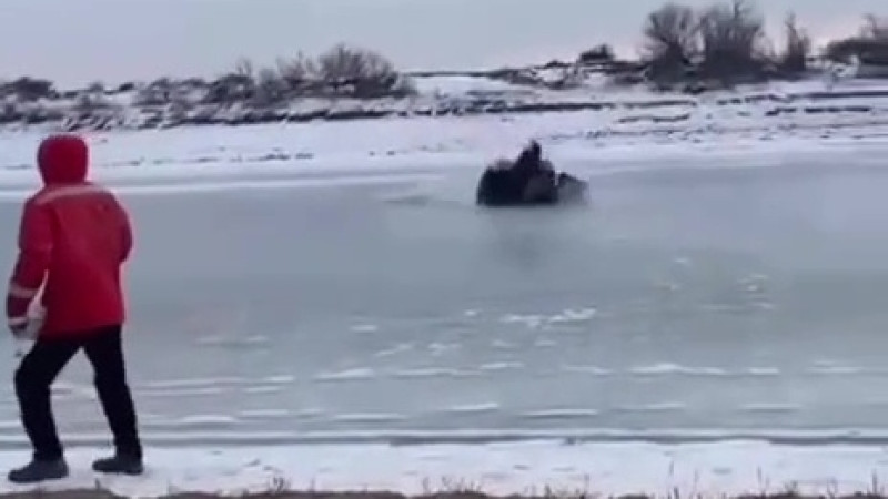 Кадр из видео