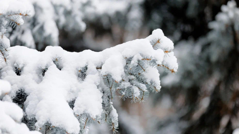 Фото © Tengrinews.kz