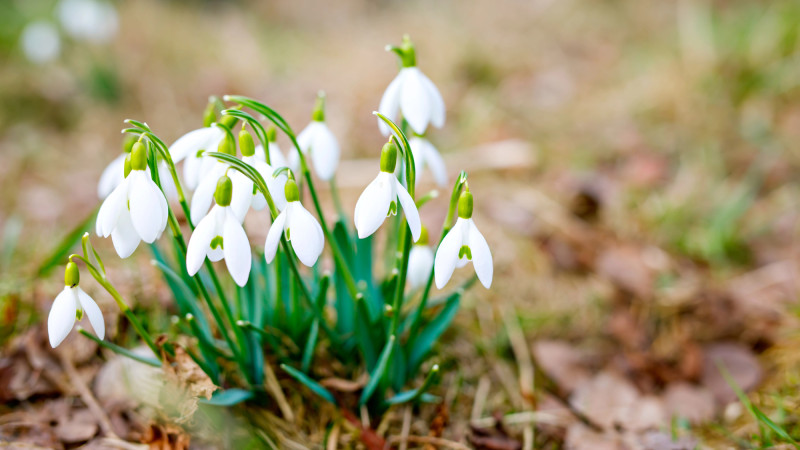 Фото:depositphotos.com