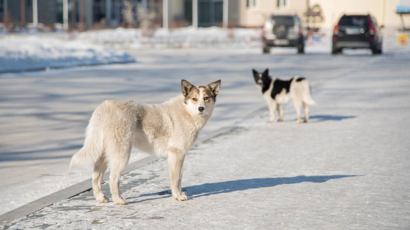 Фото:depositphotos.com