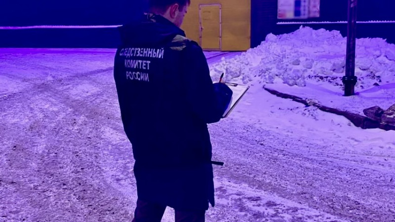 Фото: vologda.sledcom.ru