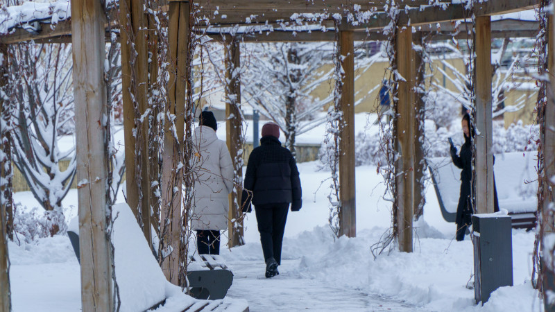 Фото © Tengrinews.kz / Болат Айтмолда