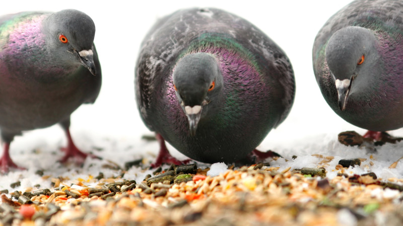 Фото:depositphotos.com