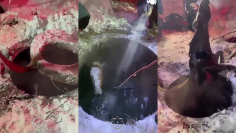 Кадры из видео