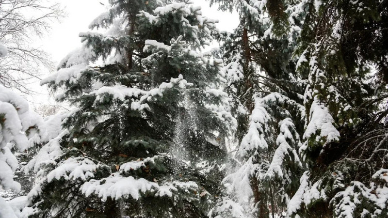 Фото © Tengrinews.kz