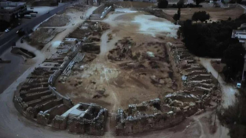 Фото: Карен Хендрикс, Сиднейский университет