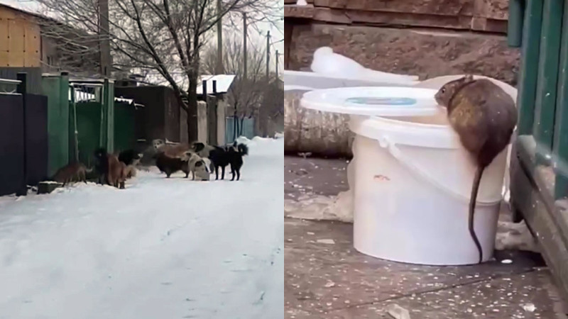 Кадры из видео