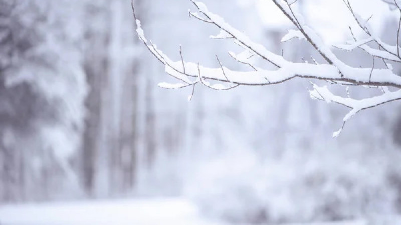 Фото:depositphotos.com