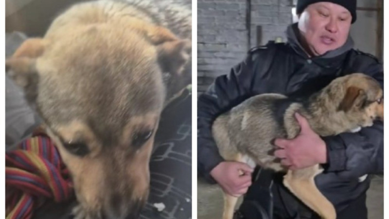 Кадры из видео