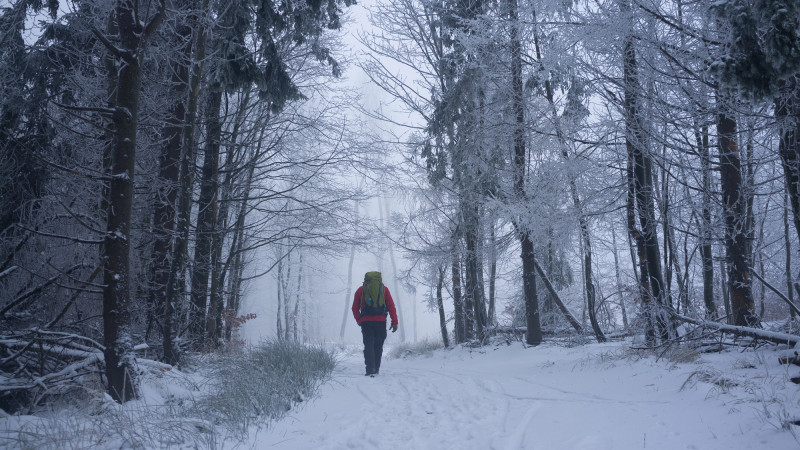 Фото:depositphotos.com