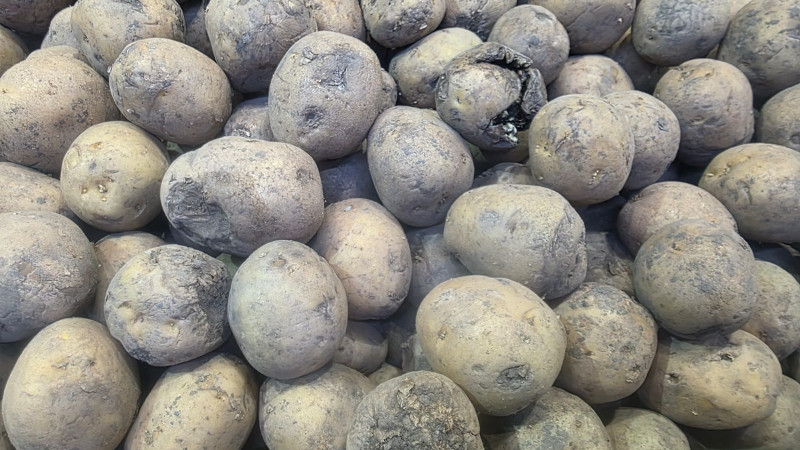 Фото © Tengrinews.kz