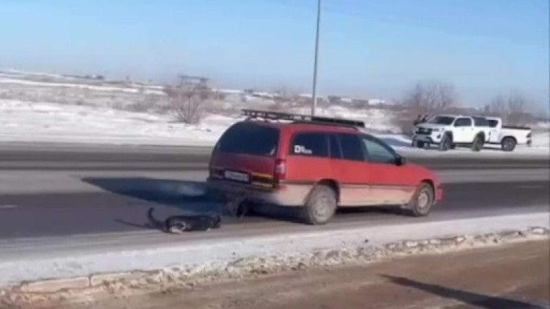 Кадр из видео