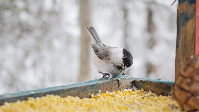 Фото:depositphotos.com