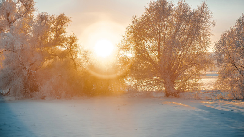 Фото:depositphotos.com