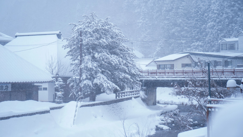 Фото:depositphotos.com