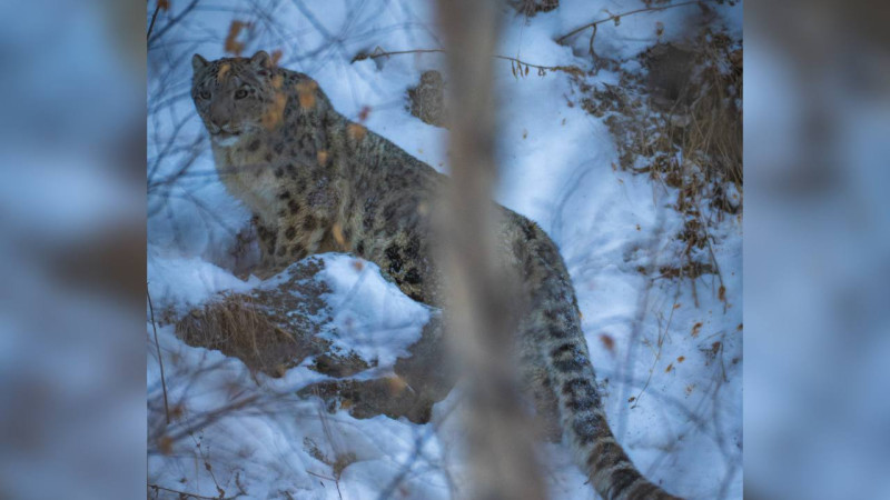 Фото: предоставлено Анатолием Гаиповым